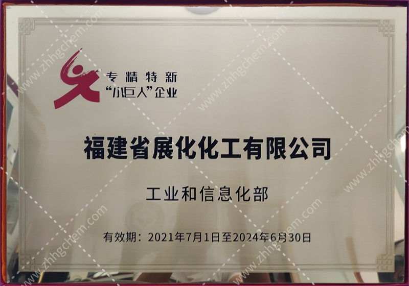 National level specialized, refined, and innovative 'Little Giant' enterprise of the Ministry of Ind