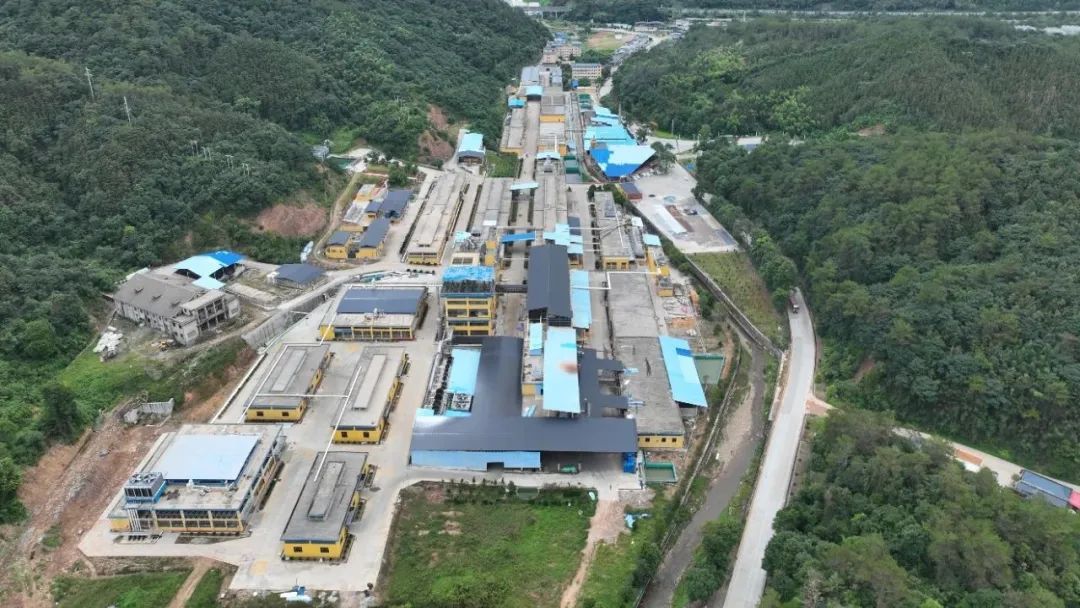 【清企高質量發展】二十載循山而行綻放璀璨之光